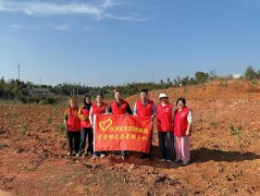 �����׷澫�񣬹�����ɫ��԰����ɳ����س�ҽԺ־Ը��ֲ�������ж�